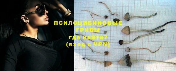 jwh Щигры