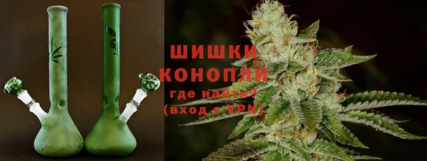 амф Белокуриха
