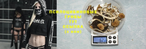 дживик Беломорск